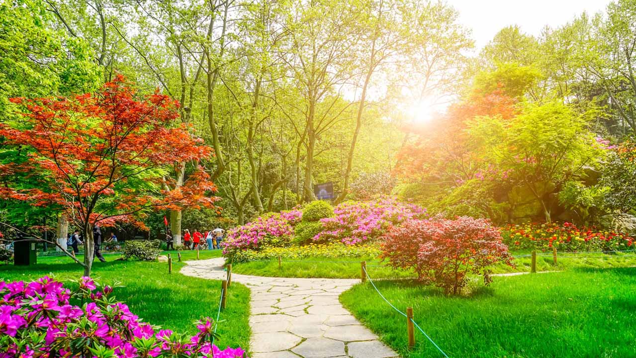Chemin pavé jardin