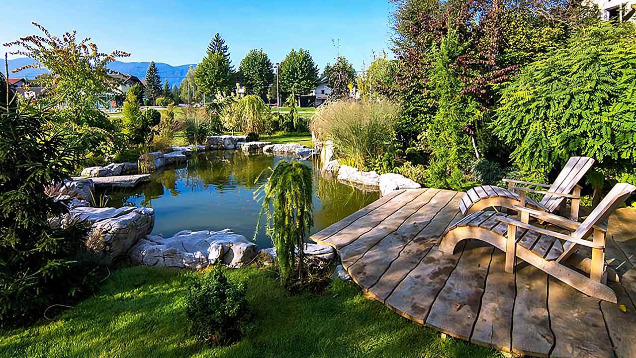 Piscine naturelle